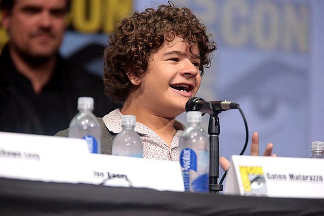 640px-Gaten_Matarazzo_(36078959021).jpg